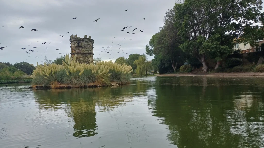 A photo of the lake in Egerton park with a flock of birds flying overhead